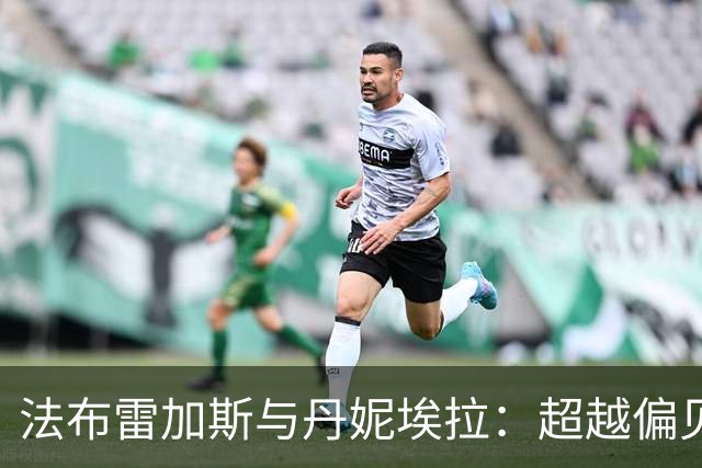 法布雷加斯与丹妮埃拉：超越偏见的婚姻与多元家庭